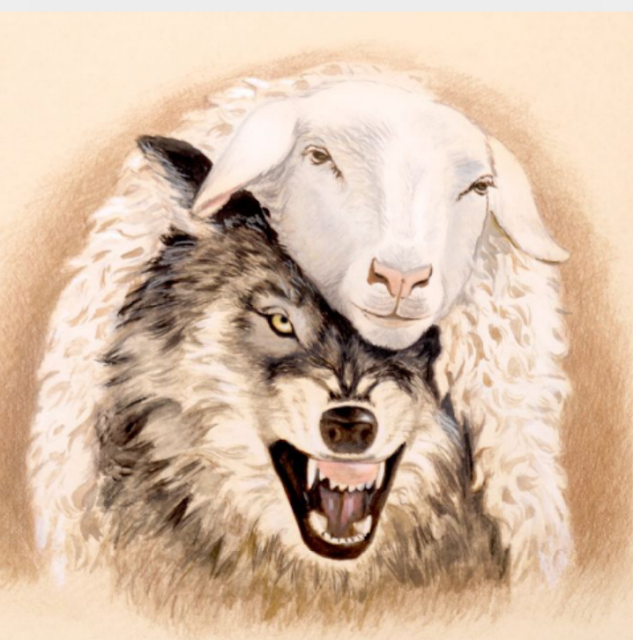 en bogota existe muchpos lobos difrazado de oveja, no se deje engañar , acuda a un medico podologo.